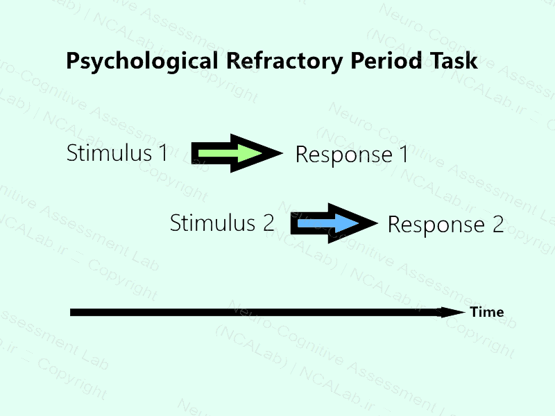  دوره بی پاسخی روان شناختی  Psychological Refractory Period